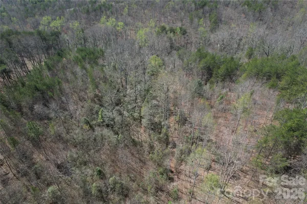 a view of a dry yard