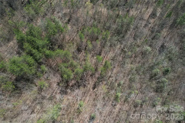 $119,900 | 335 Woodrow Hoyle Road, Casar, NC 28020