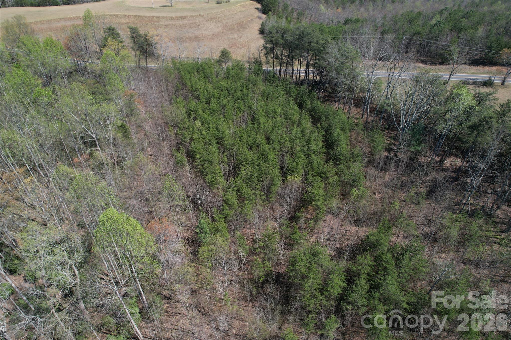 335 Woodrow Hoyle Road Casar, NC 28020 - Photo 30 of 32 a view of a field of grass and trees