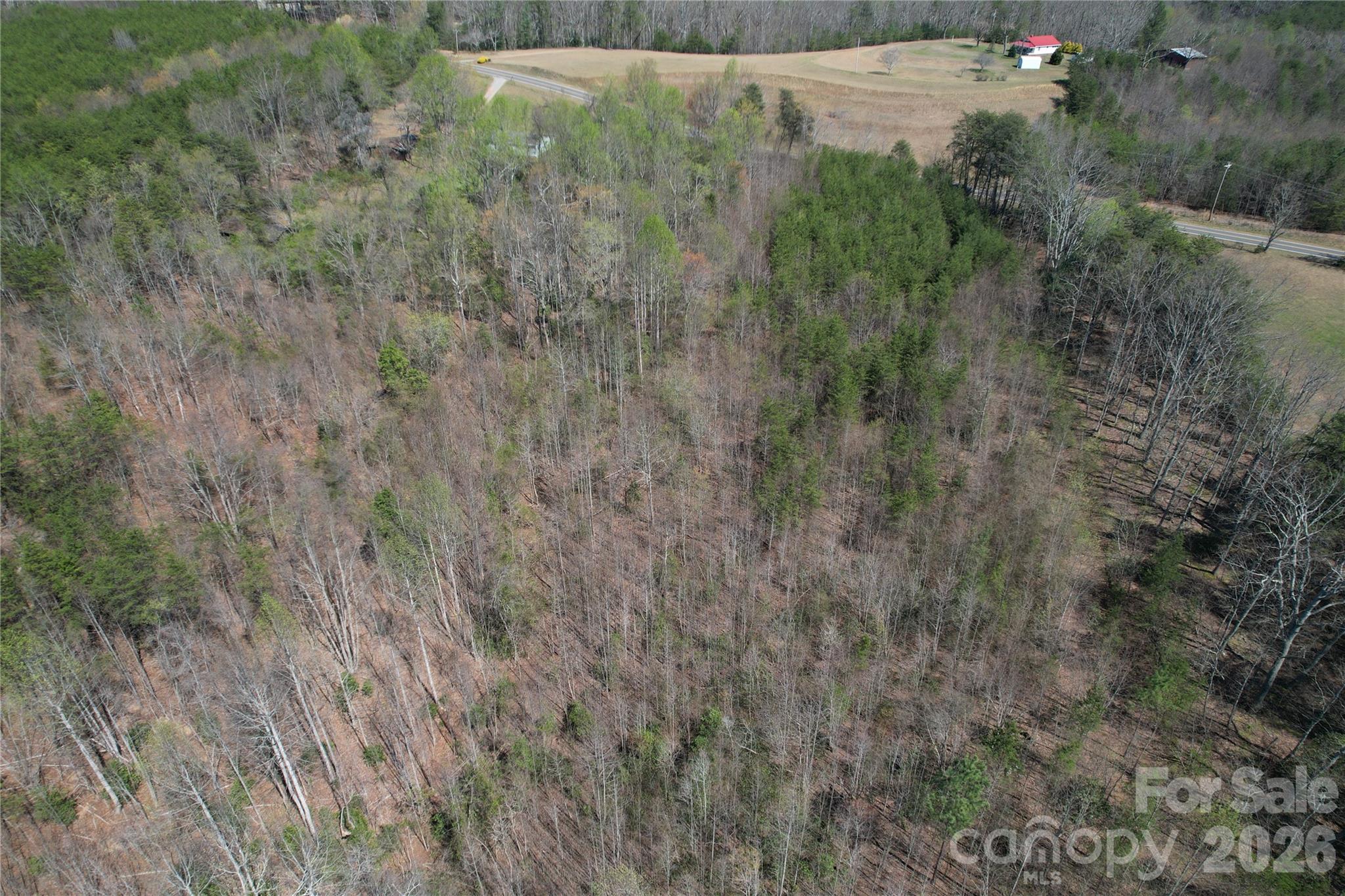 335 Woodrow Hoyle Road Casar, NC 28020 - Photo 32 of 32 a view of a dry yard