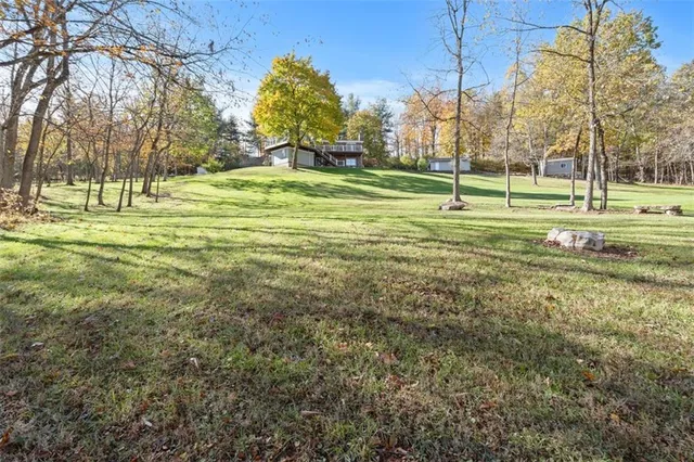 a view of a park with large trees