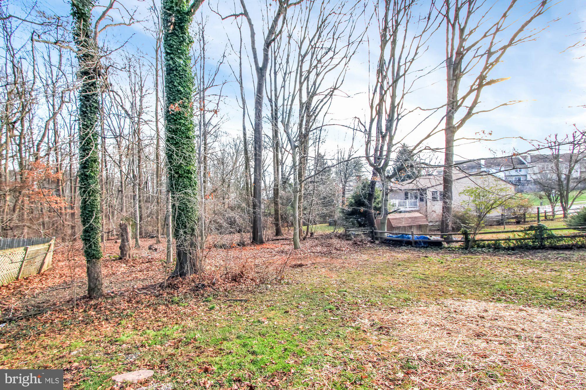 124 Boxthorn Road Abingdon, MD 21009 - Photo 26 of 26 Backyard