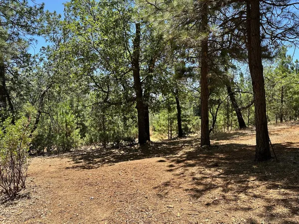 $450,000 | 1870 East Summit View Dr Meadow Vista, Meadow Vista, CA 95722
