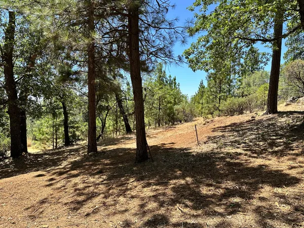 $450,000 | 1870 East Summit View Dr Meadow Vista, Meadow Vista, CA 95722
