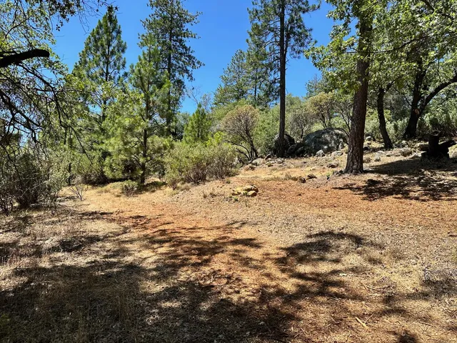 $450,000 | 1870 East Summit View Dr Meadow Vista, Meadow Vista, CA 95722