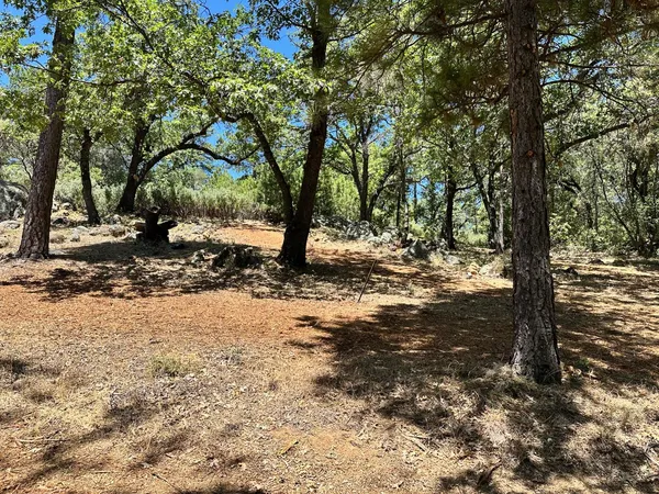 $450,000 | 1870 East Summit View Dr Meadow Vista, Meadow Vista, CA 95722