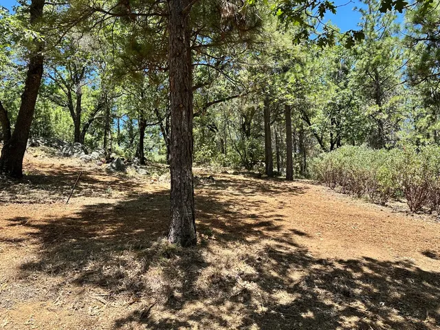 $450,000 | 1870 East Summit View Dr Meadow Vista, Meadow Vista, CA 95722