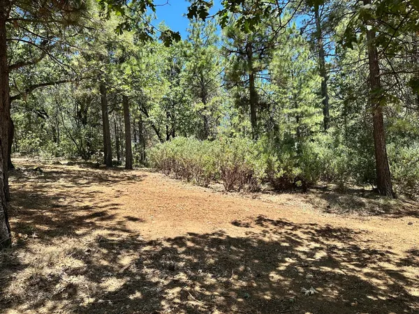 $450,000 | 1870 East Summit View Dr Meadow Vista, Meadow Vista, CA 95722