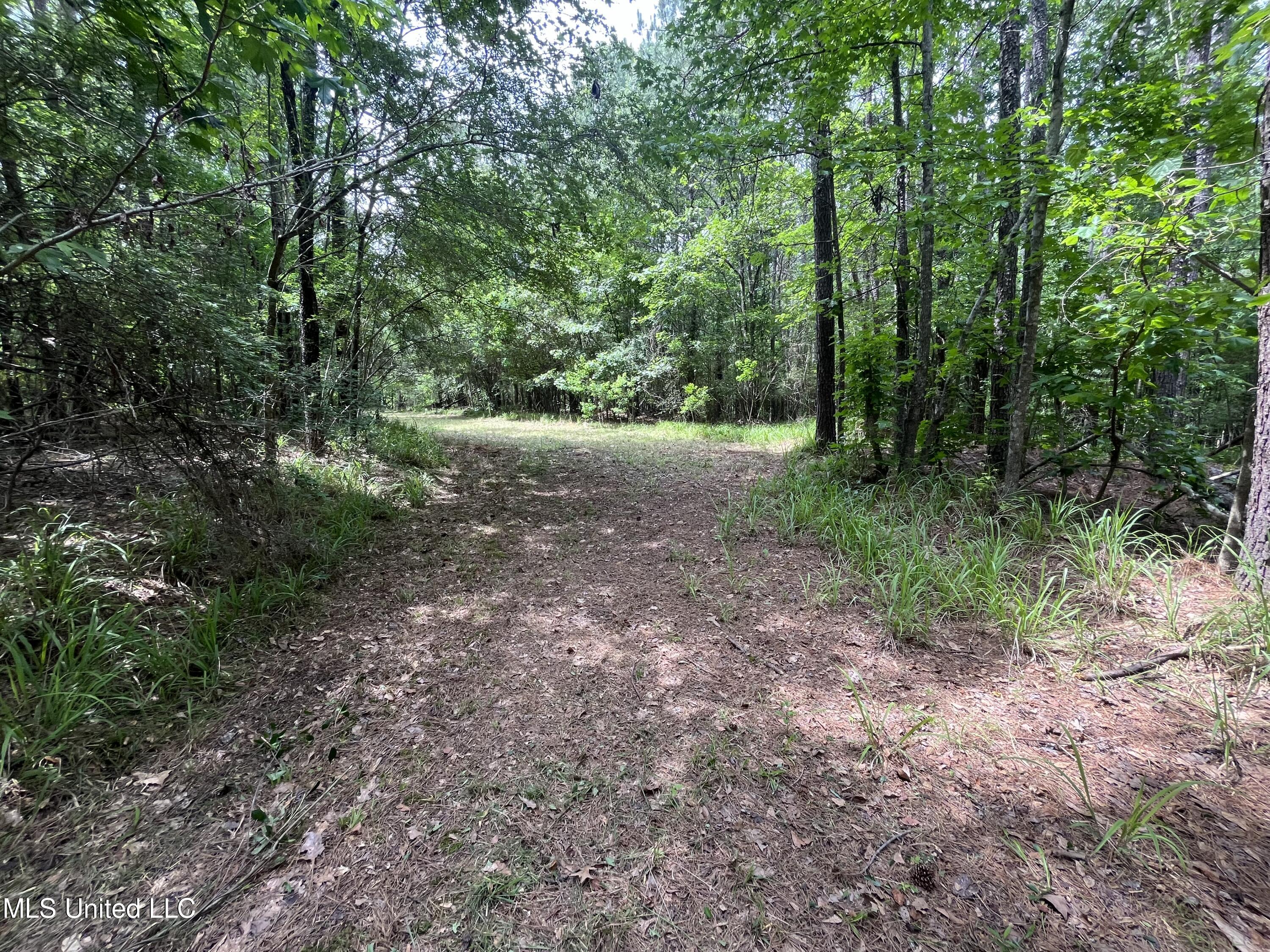 0 Lakeshore Road Jackson, MS 39212 - Photo 9 of 22 IMG_6743