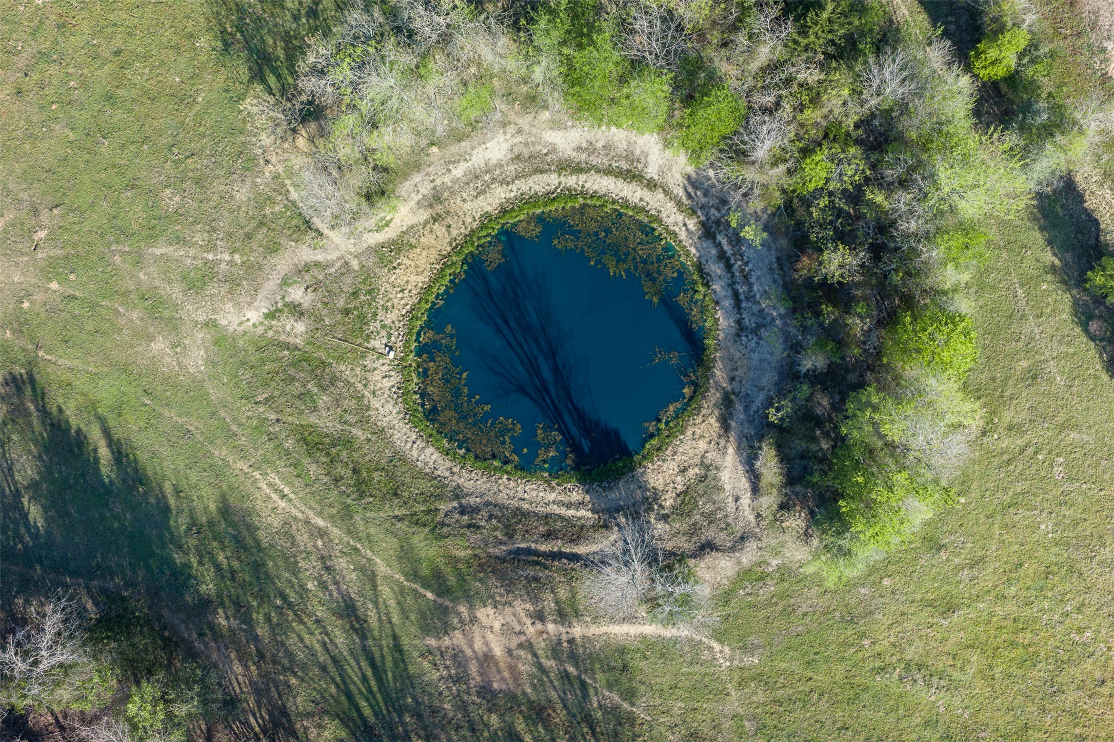 2313 Highway 79 Milano, TX 76556 - Photo 14 of 40 Natural water feature surrounded by grassy terrain and scattered trees
