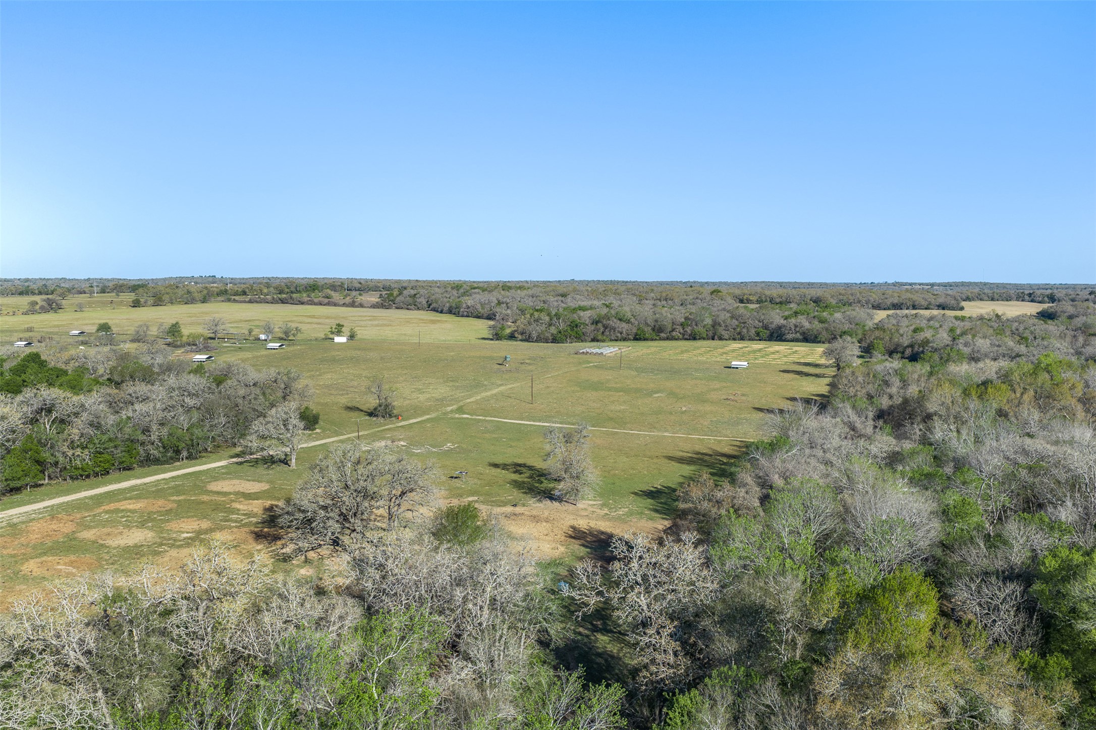 2313 Highway 79 Milano, TX 76556 - Photo 18 of 40 Expansive rural landscape featuring a mix of mature trees and open fields