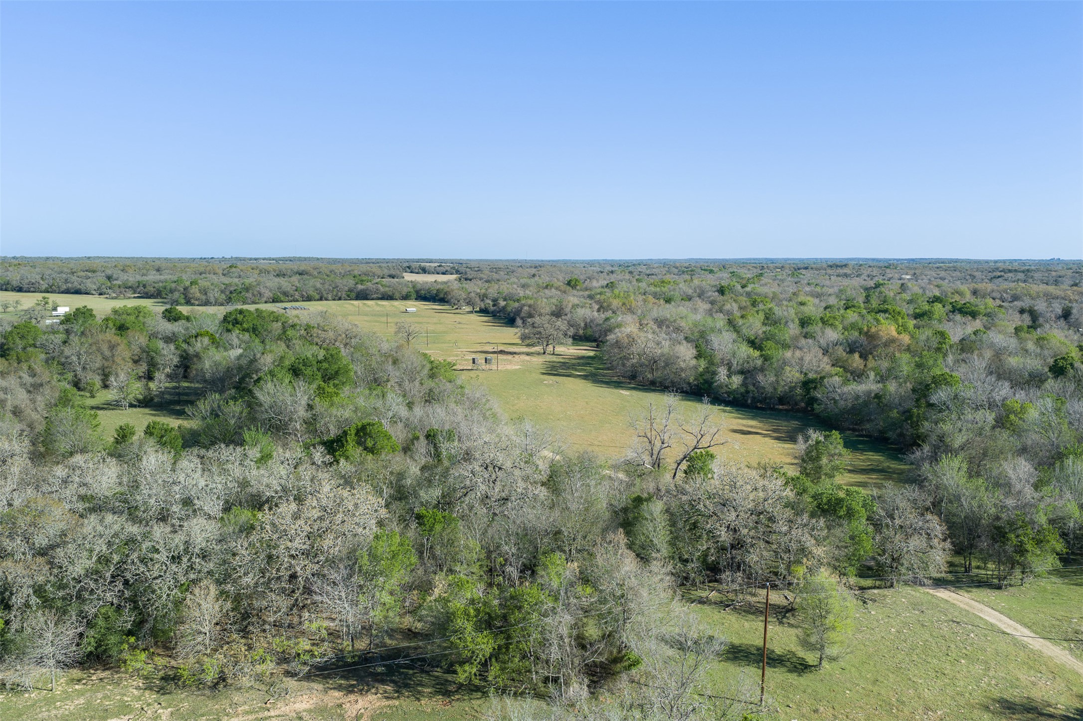 2313 Highway 79 Milano, TX 76556 - Photo 20 of 40 Expansive rural landscape featuring a mix of mature trees and open grassy areas