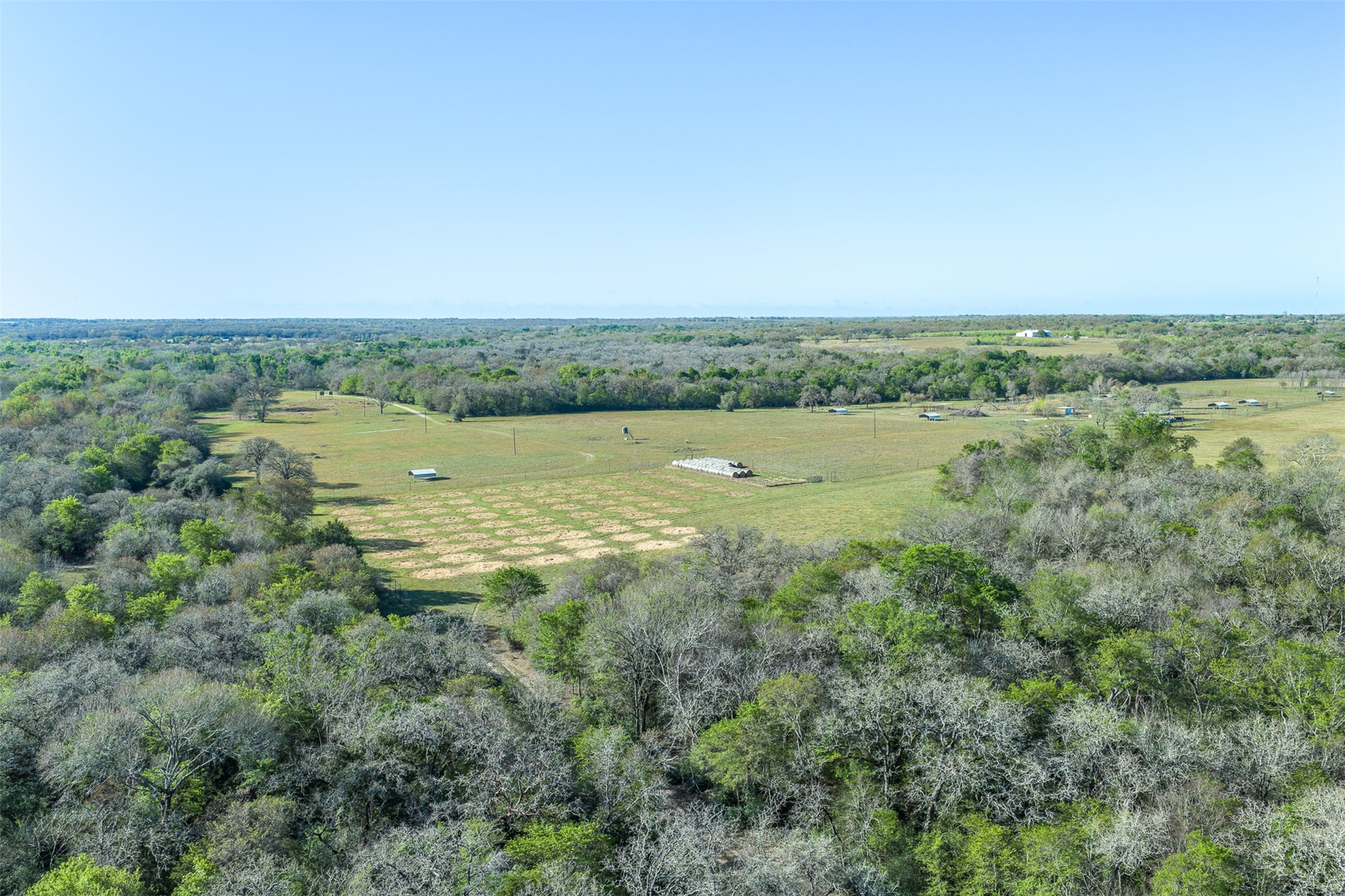 2313 Highway 79 Milano, TX 76556 - Photo 21 of 40 Expansive rural landscape featuring a mix of open fields and dense tree cover