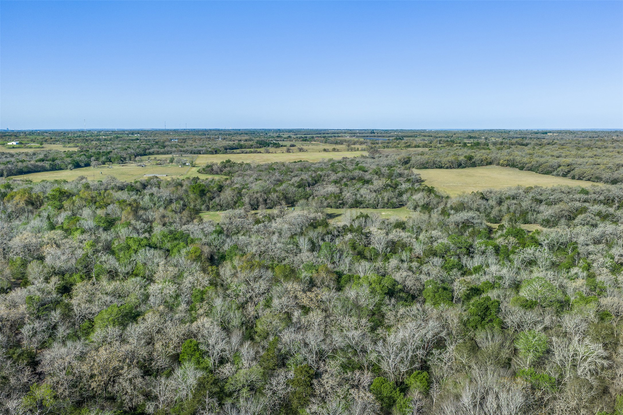 2313 Highway 79 Milano, TX 76556 - Photo 24 of 40 Expansive acreage featuring a combination of dense mature trees and open clearings under a broad sky