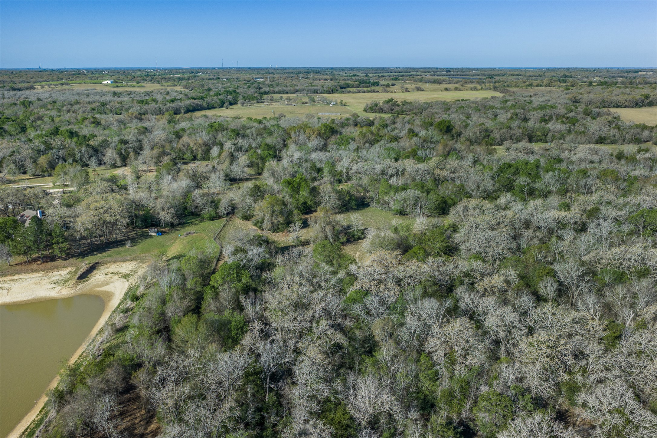 2313 Highway 79 Milano, TX 76556 - Photo 25 of 40 Expansive wooded acreage with a tranquil pond at the perimeter