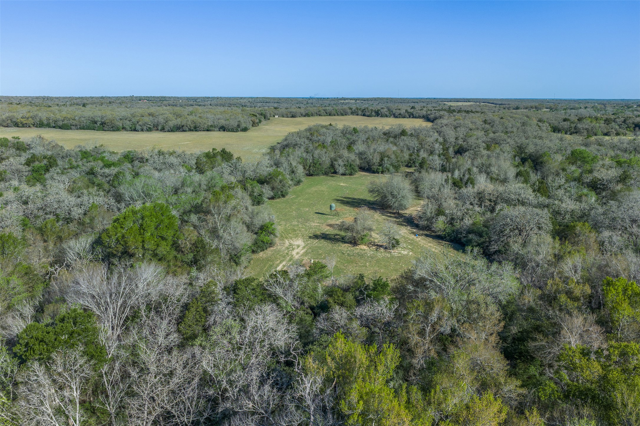 2313 Highway 79 Milano, TX 76556 - Photo 26 of 40 Expansive acreage featuring a mix of mature trees and cleared land