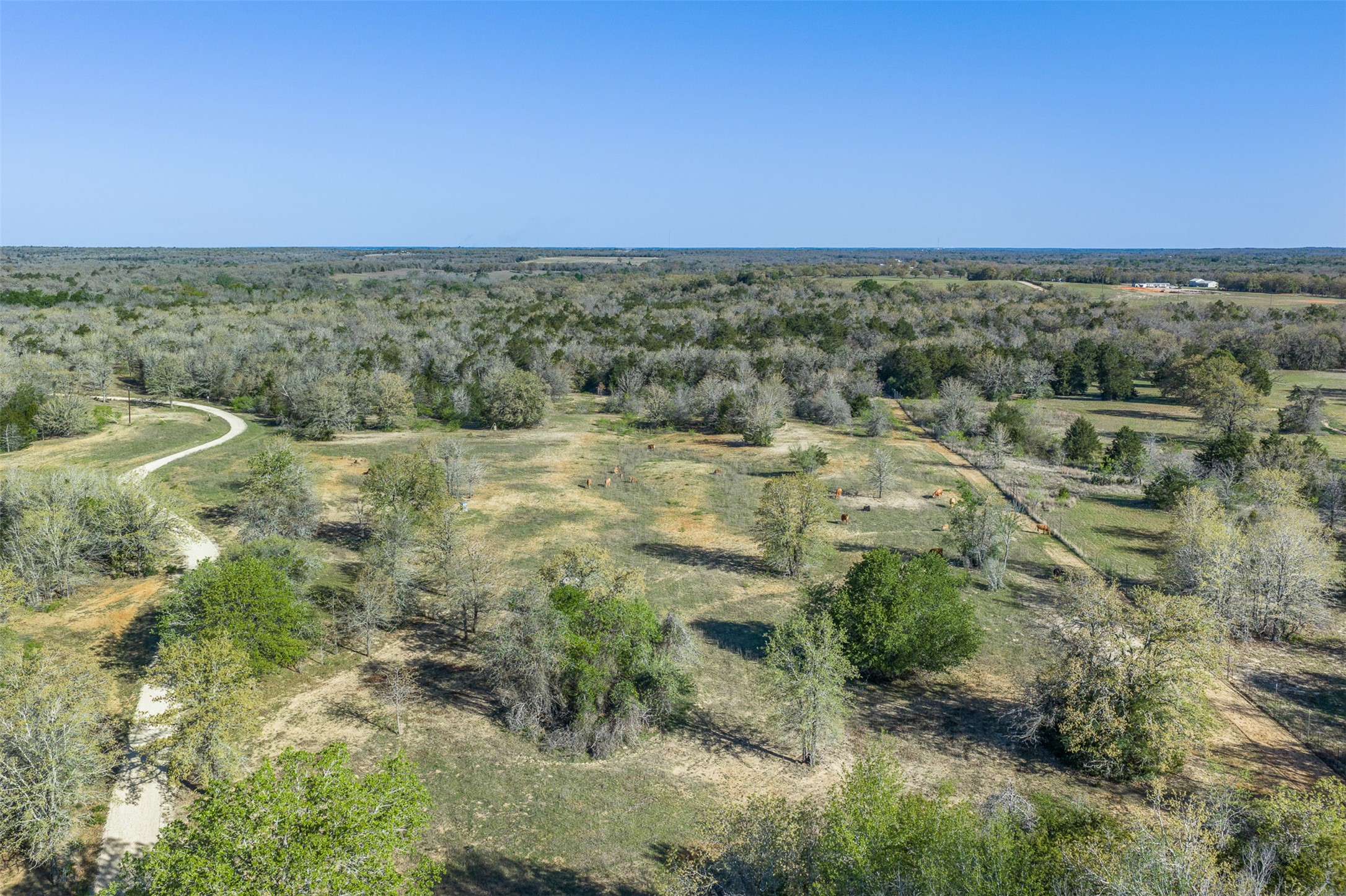 2313 Highway 79 Milano, TX 76556 - Photo 27 of 40 Expansive acreage featuring a winding gravel drive, scattered trees, and natural vegetation under a clear sky
