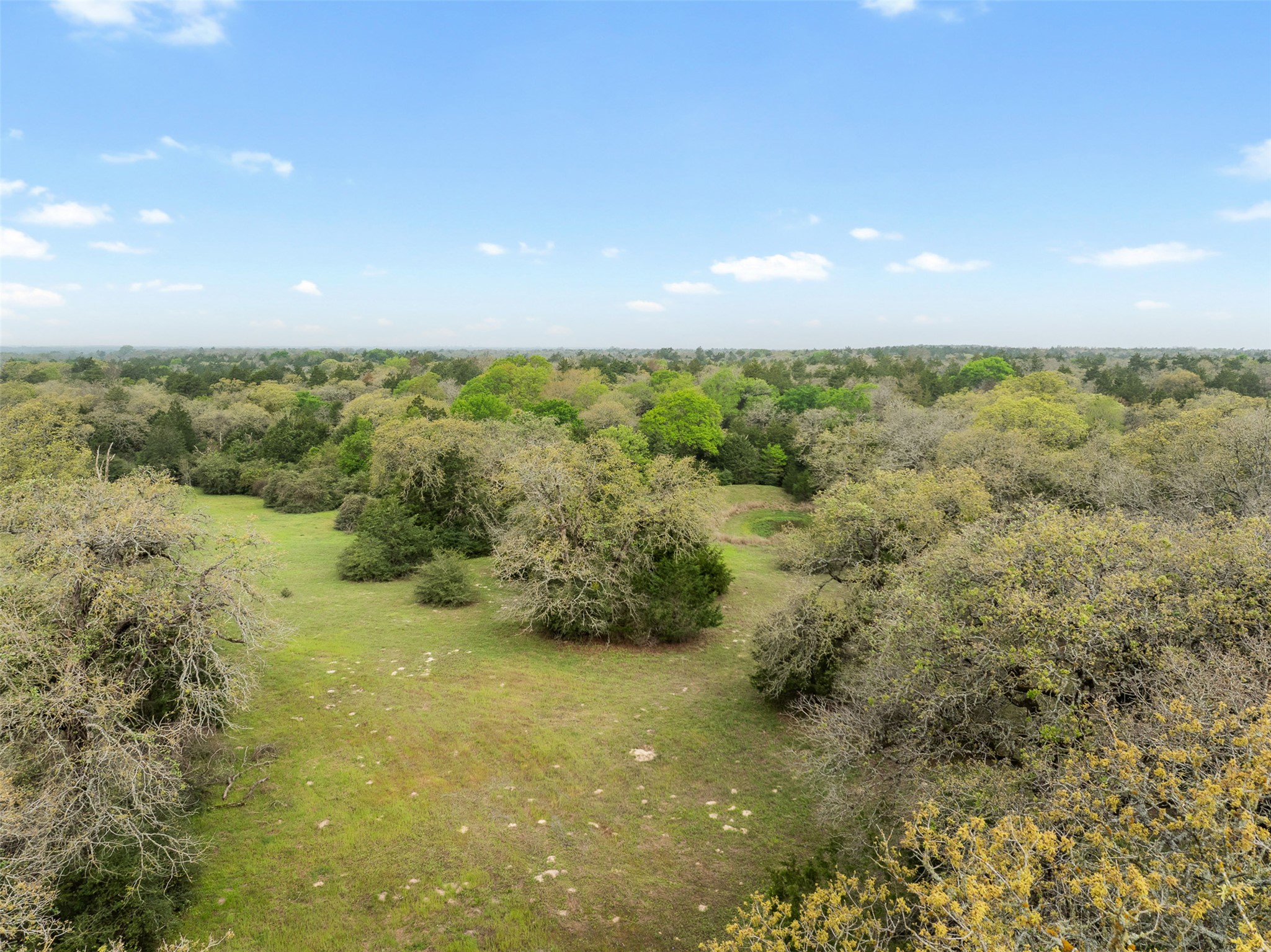 2313 Highway 79 Milano, TX 76556 - Photo 30 of 40 Expansive acreage featuring abundant mature trees and verdant clearings