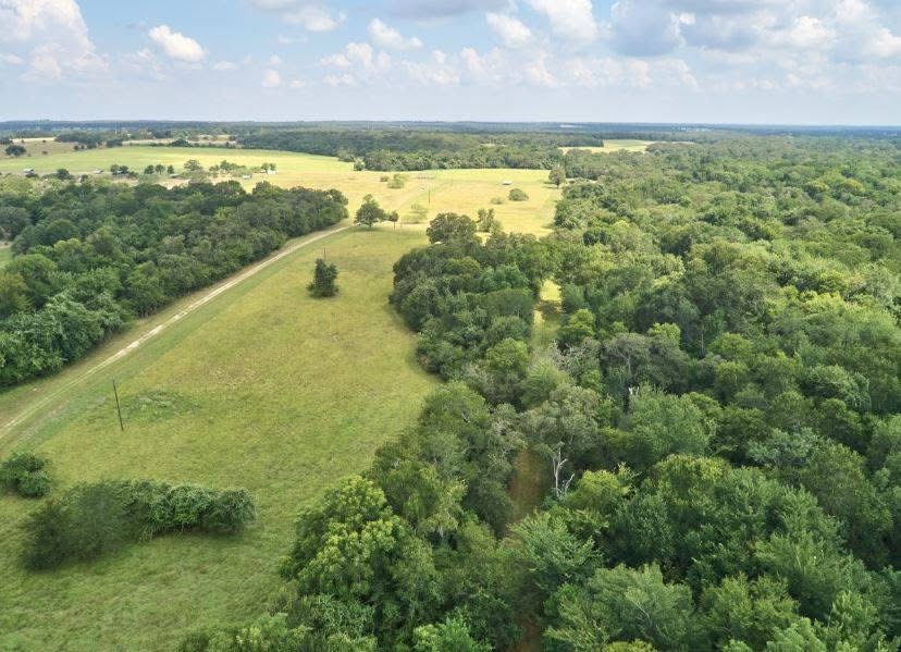 2313 Highway 79 Milano, TX 76556 - Photo 31 of 40 Expansive land parcel featuring a combination of open fields and dense wooded areas