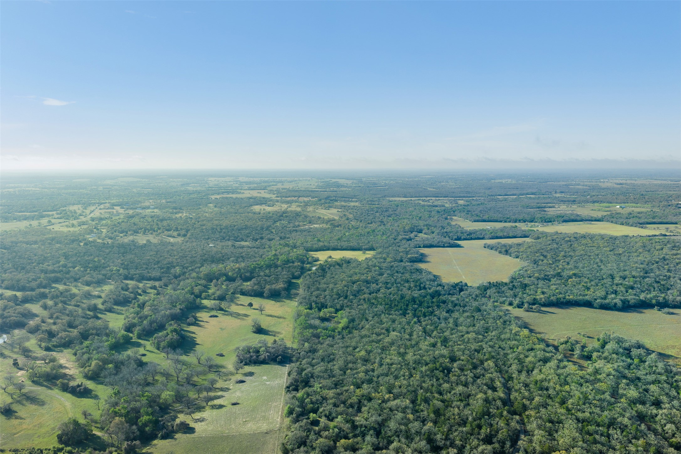 2313 Highway 79 Milano, TX 76556 - Photo 5 of 40 Expansive acreage featuring mature woodlands, open fields, and natural clearings