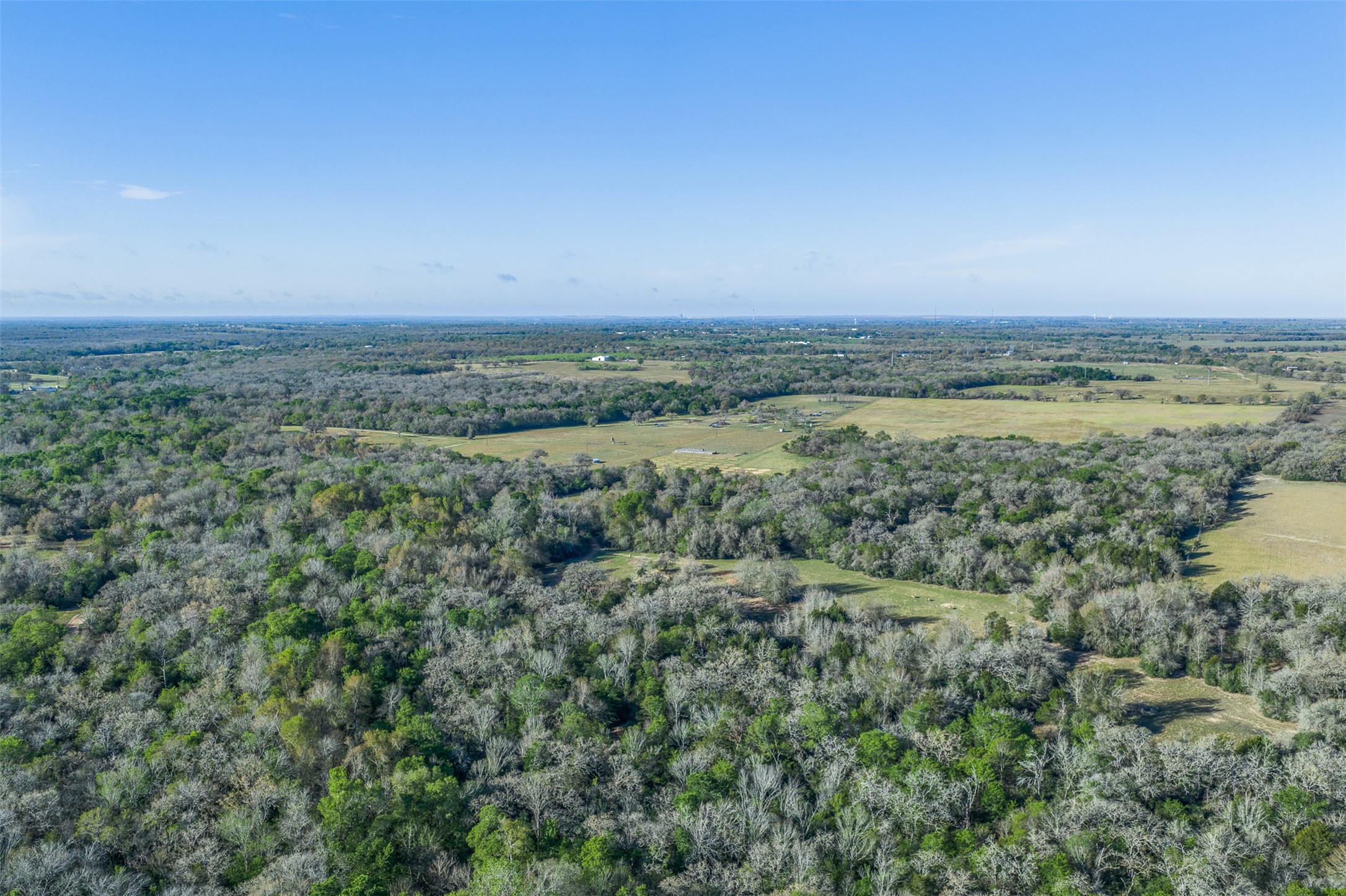 2313 Highway 79 Milano, TX 76556 - Photo 6 of 40 Expansive natural landscape featuring dense woodland and open fields under a clear sky
