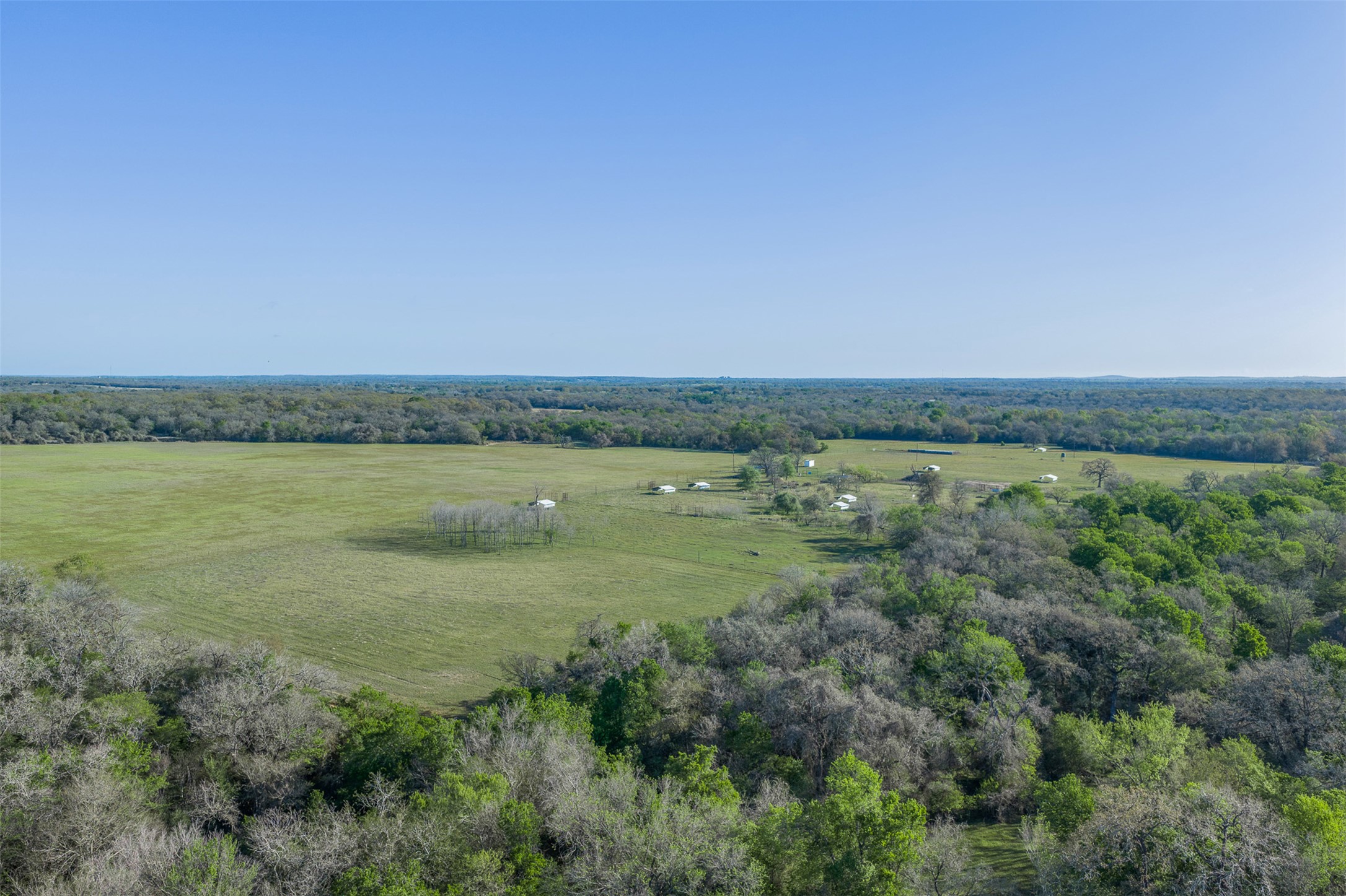 2313 Highway 79 Milano, TX 76556 - Photo 8 of 40 Expansive land with a large cleared field and distant wooded areas