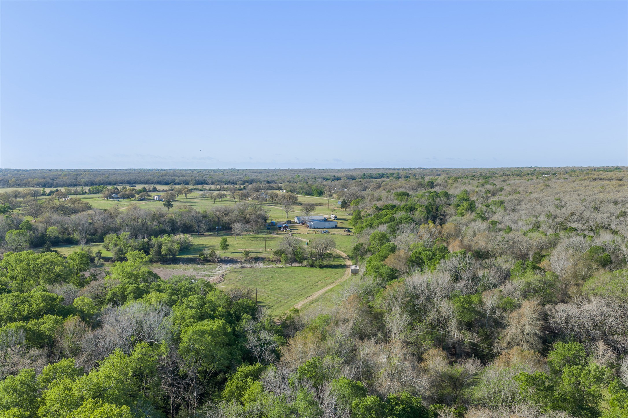 2313 Highway 79 Milano, TX 76556 - Photo 10 of 40 Expansive open land featuring diverse tree coverage and a clear blue sky