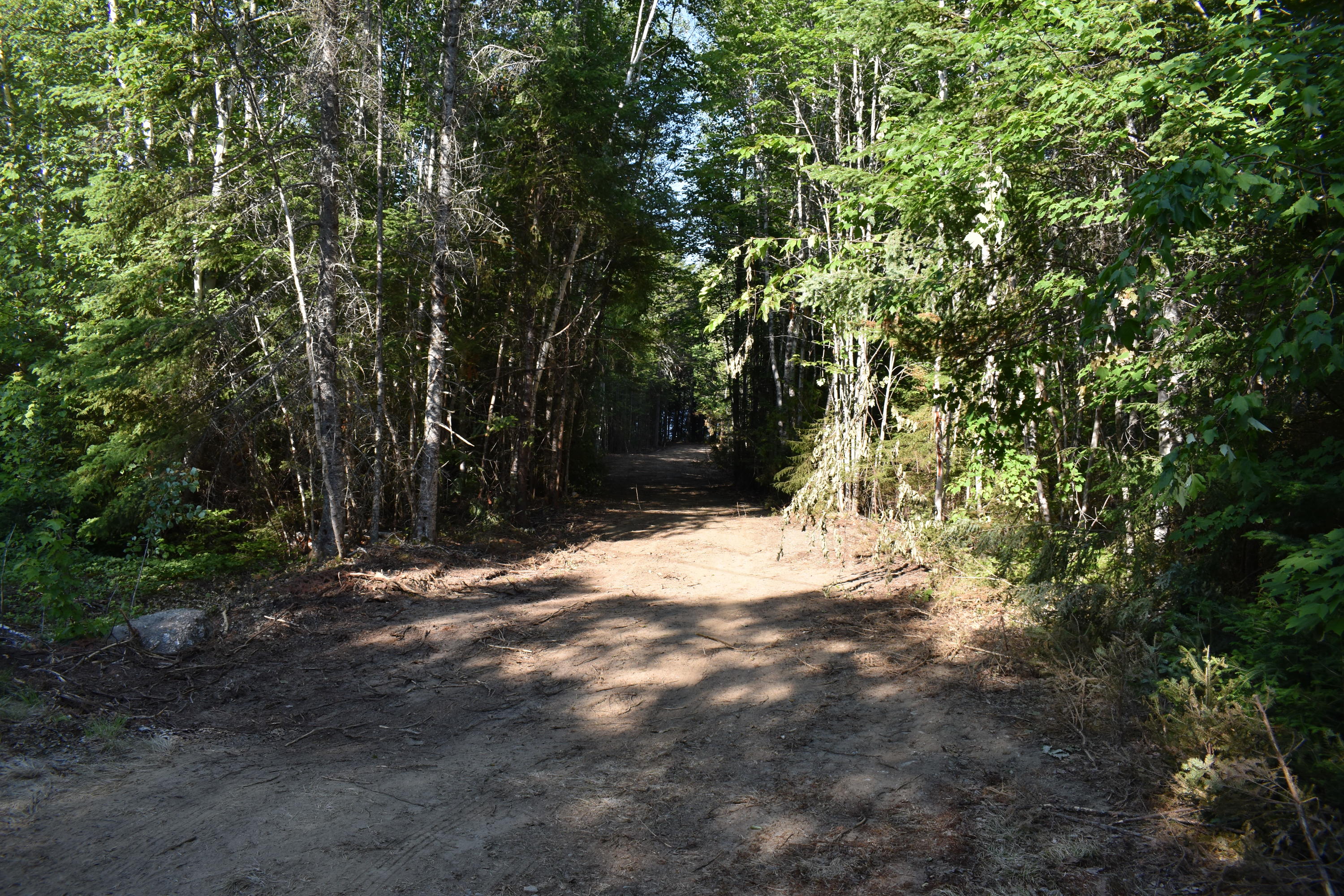Tbd Lot Tbd Road Lakeville, ME 04487 - Photo 27 of 31 DSC_0481