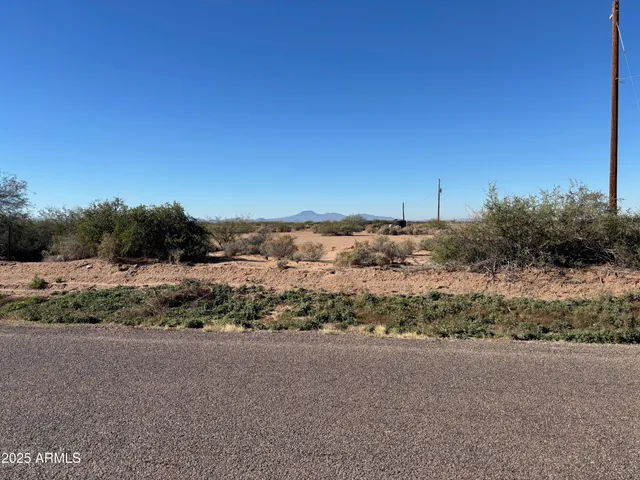 a view of a dry yard
