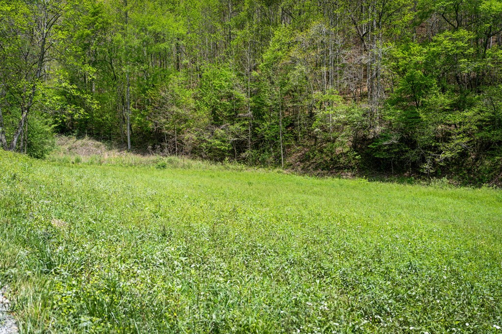 891 Bushy Head Road Cherry Log, GA 30522 - Photo 19 of 24