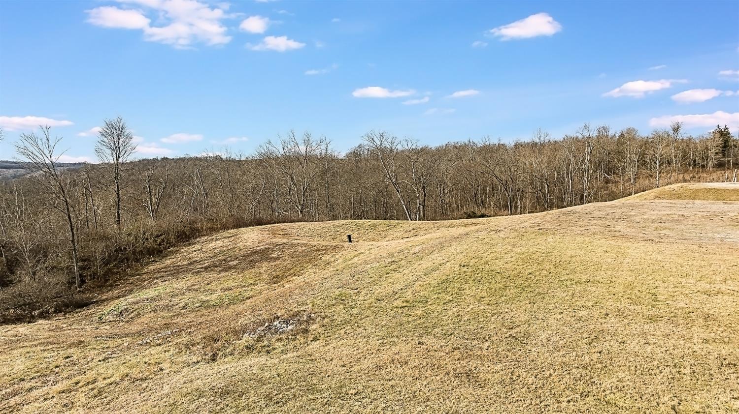 0 State Road Aurora, IN 47001 - Photo 4 of 20