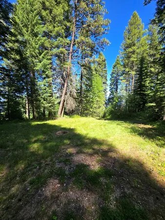 $15,000 | Undisclosed Address, Cascade, ID 83611