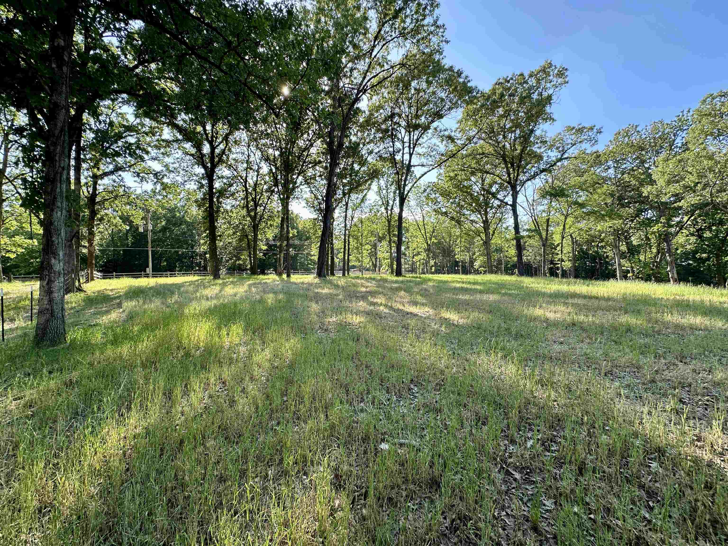 2 Dogwood Road Somerville, TN 38068 - Photo 11 of 12 a view of field with trees in the background