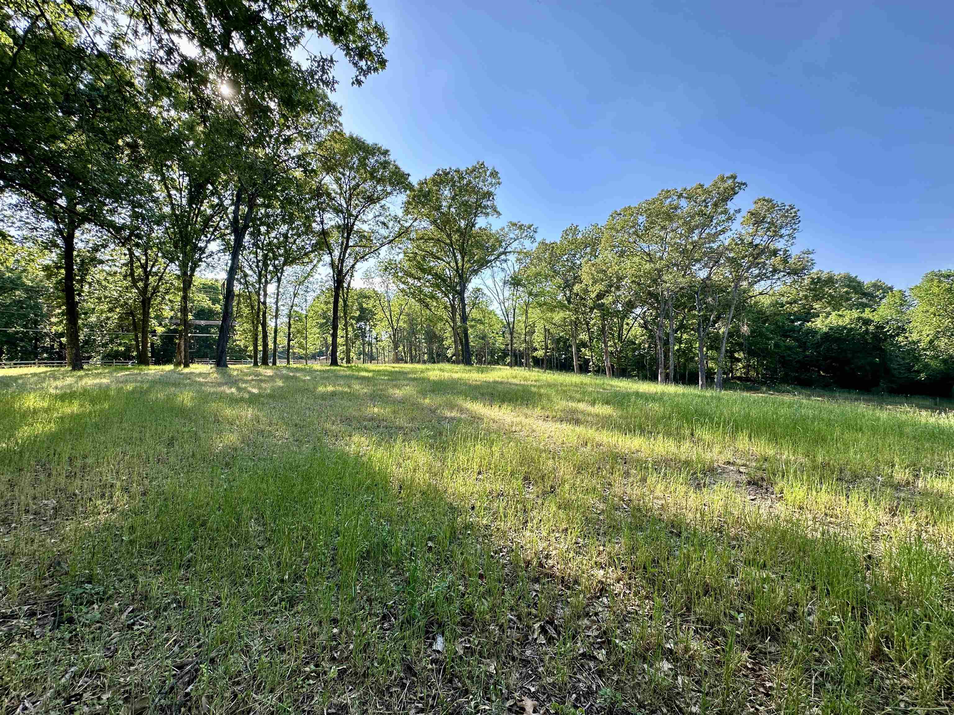 2 Dogwood Road Somerville, TN 38068 - Photo 12 of 12 a backyard of a house with lots of green space and fountain