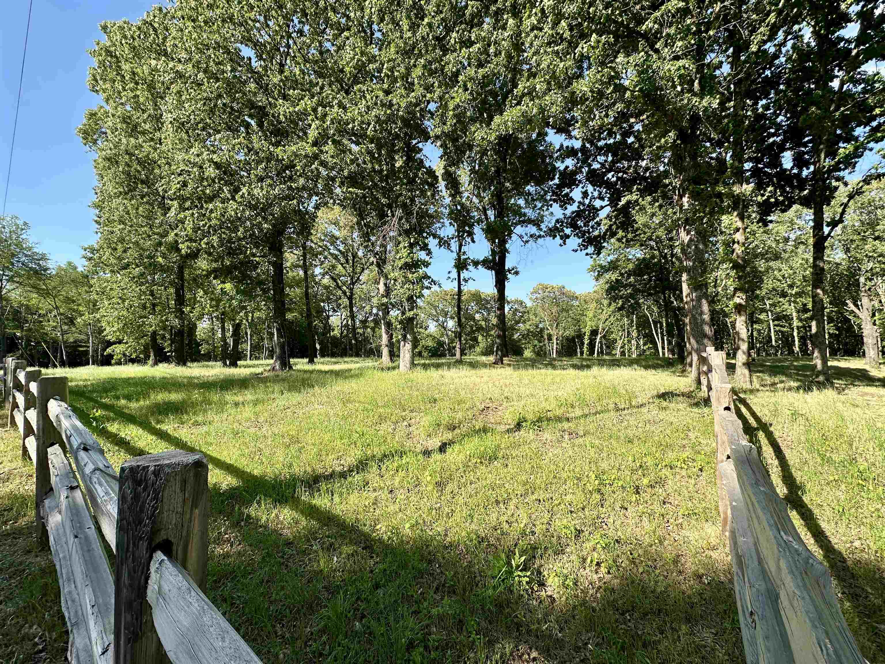 2 Dogwood Road Somerville, TN 38068 - Photo 2 of 12 a view of yard with swimming pool and trees
