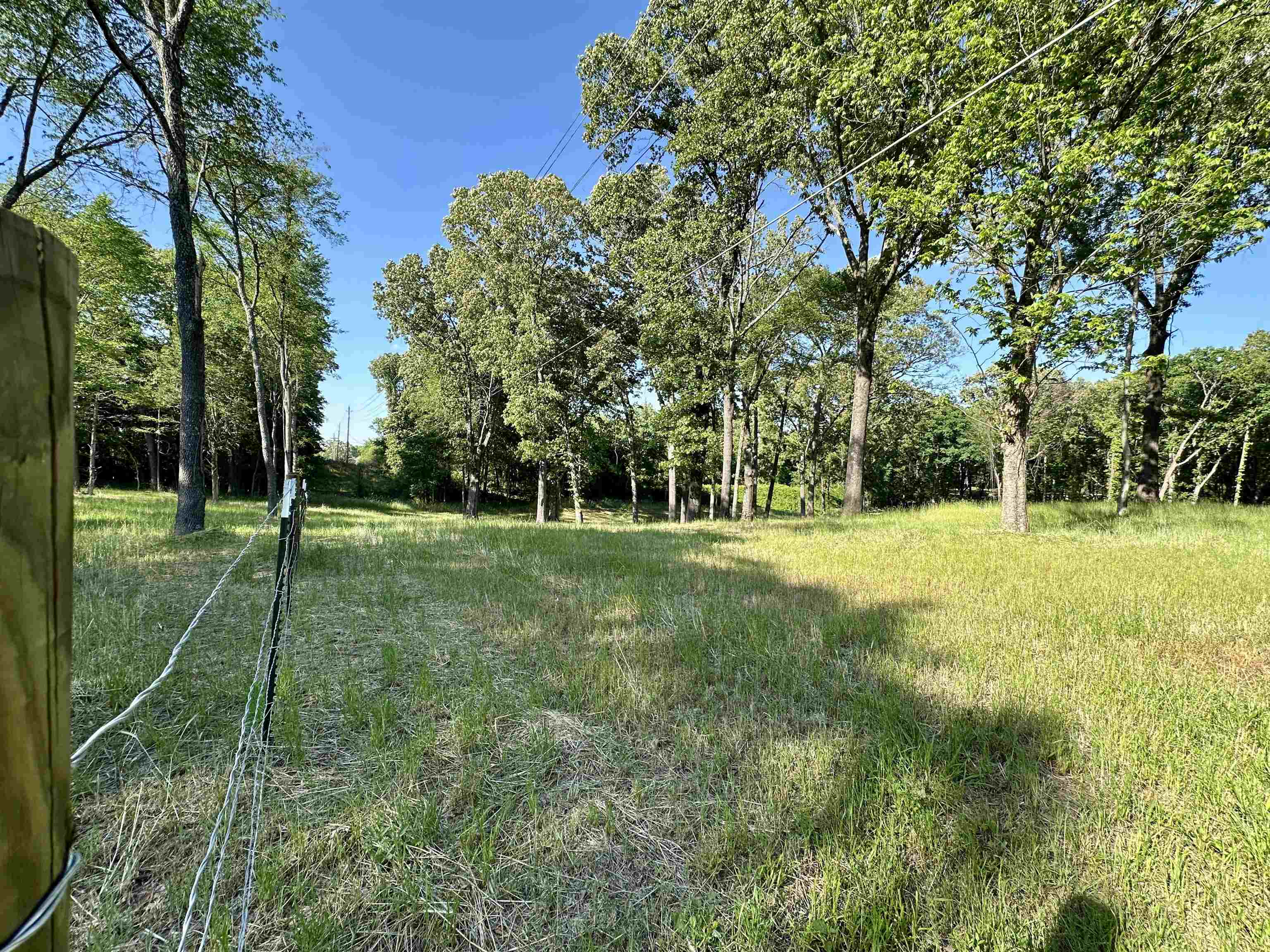 2 Dogwood Road Somerville, TN 38068 - Photo 3 of 12 a view of a park with a tree