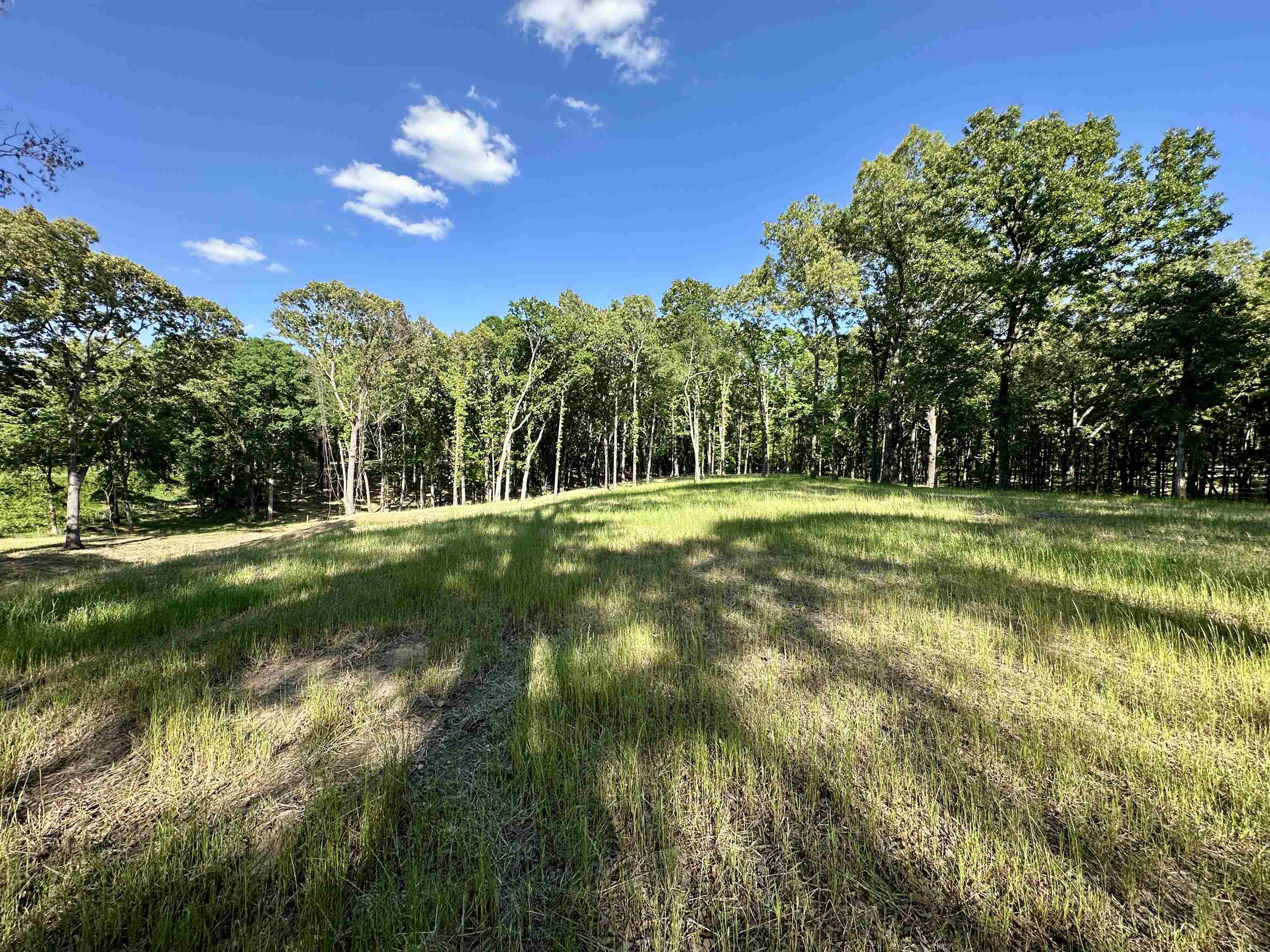 2 Dogwood Road Somerville, TN 38068 - Photo 9 of 12 a view of a golf course