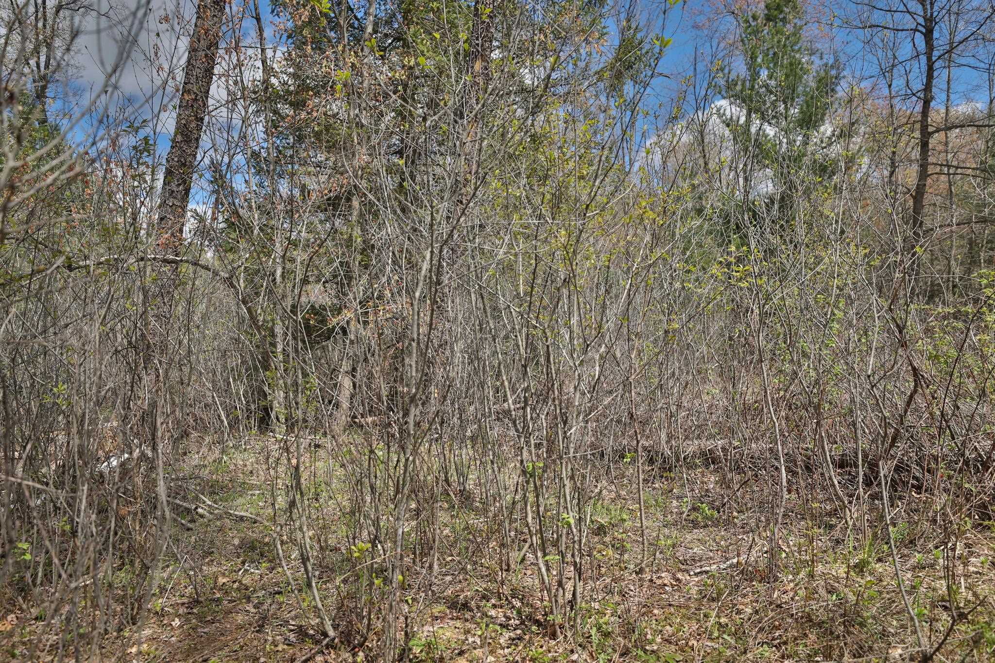 Lot 4 Grayling Tomah, WI 54660 - Photo 35 of 50