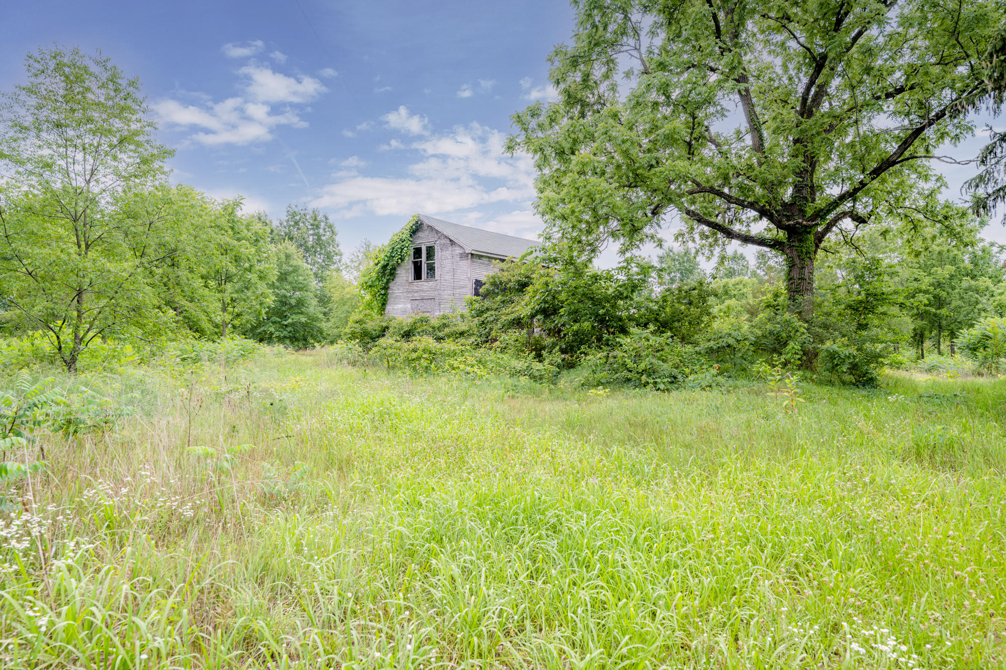 6012 North Branch Road Benton Harbor, MI 49022 - Photo 4 of 31 N Branch-102