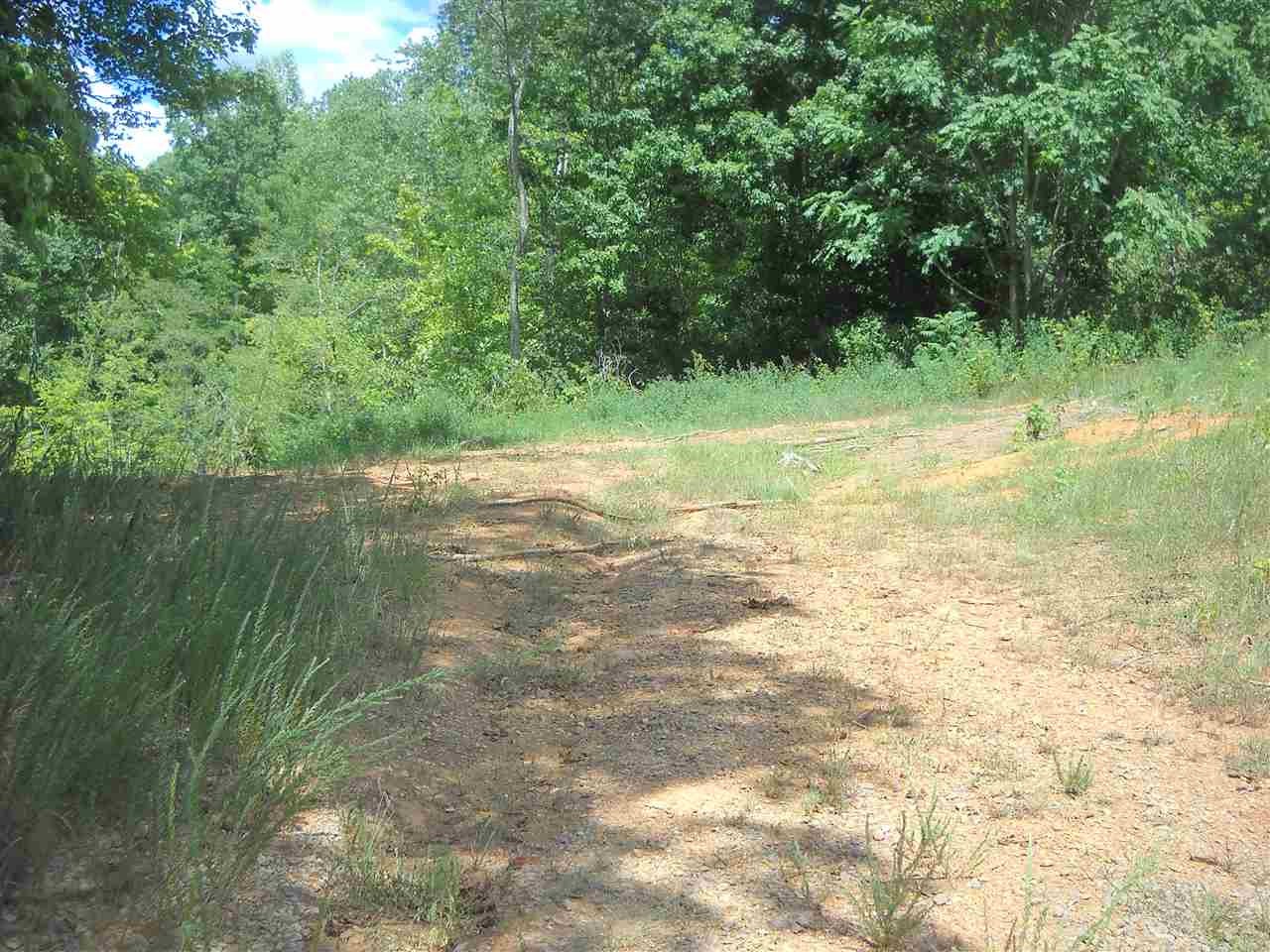 0 Geren Sub Lane Decatur, TN 37322 - Photo 3 of 8 Gallery Image 3