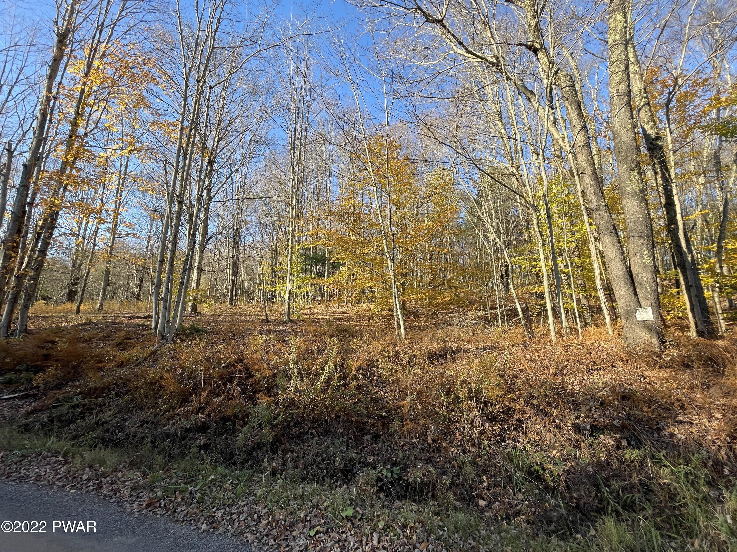 Pleasant Valley Road Starrucca, PA 18462 - Photo 2 of 10 69 ACRES