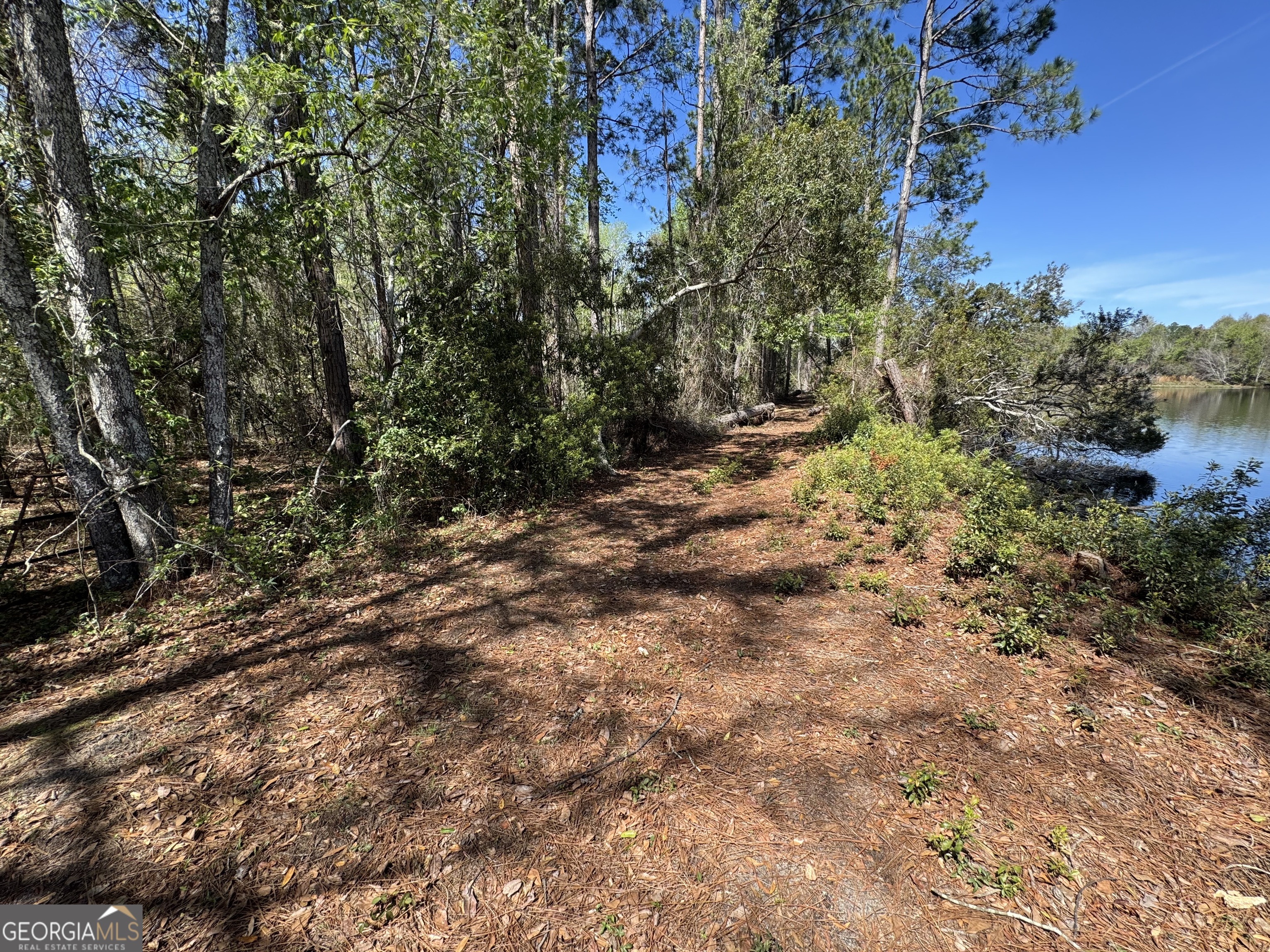 1230 Rolling Acres Road Metter, GA 30439 - Photo 28 of 46