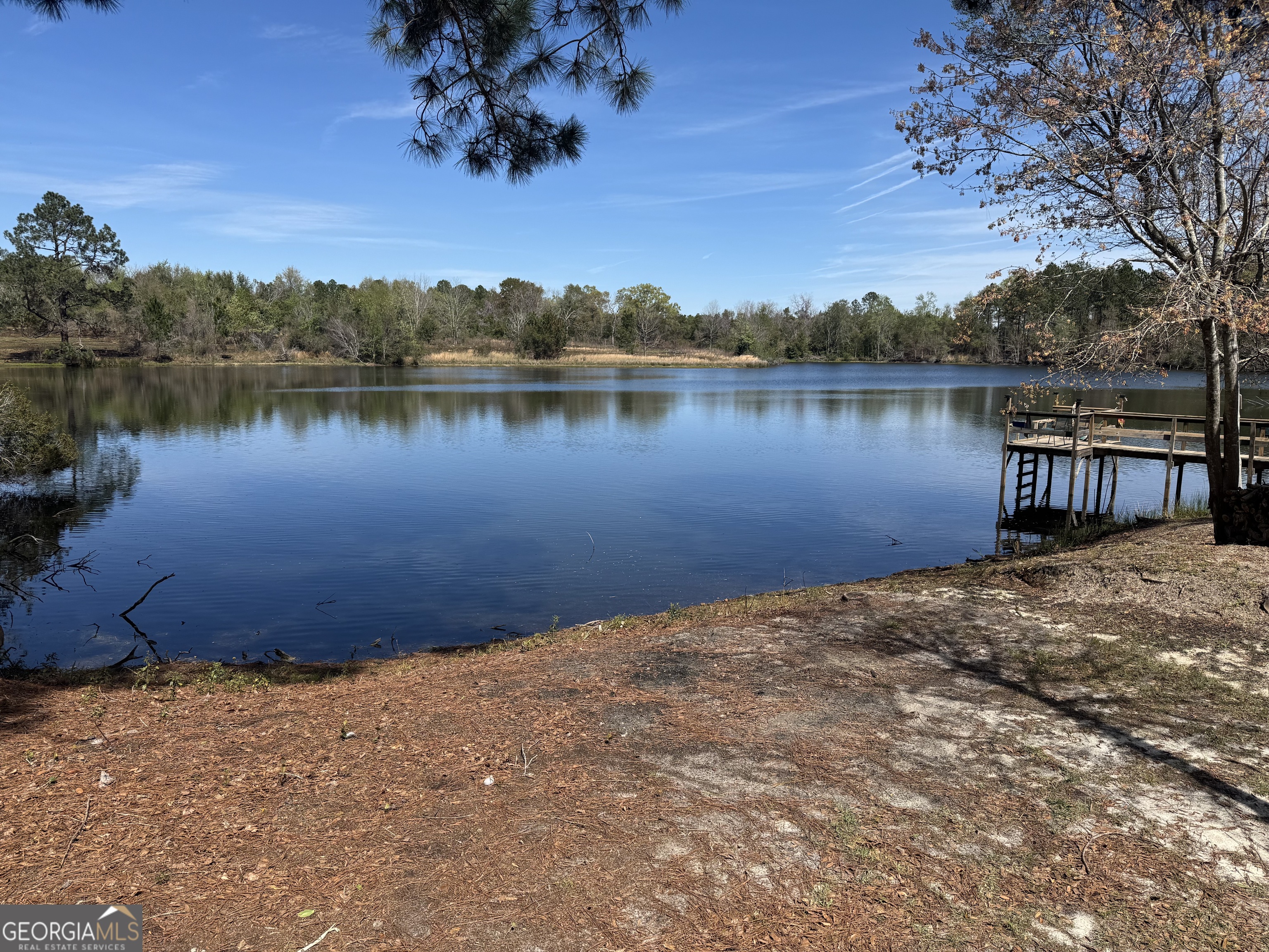 1230 Rolling Acres Road Metter, GA 30439 - Photo 36 of 46