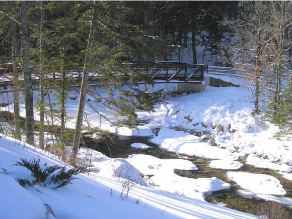 28 Tyler Spring Way, Unit 23 Waterville Valley, NH 03215 - Photo 1 of 1