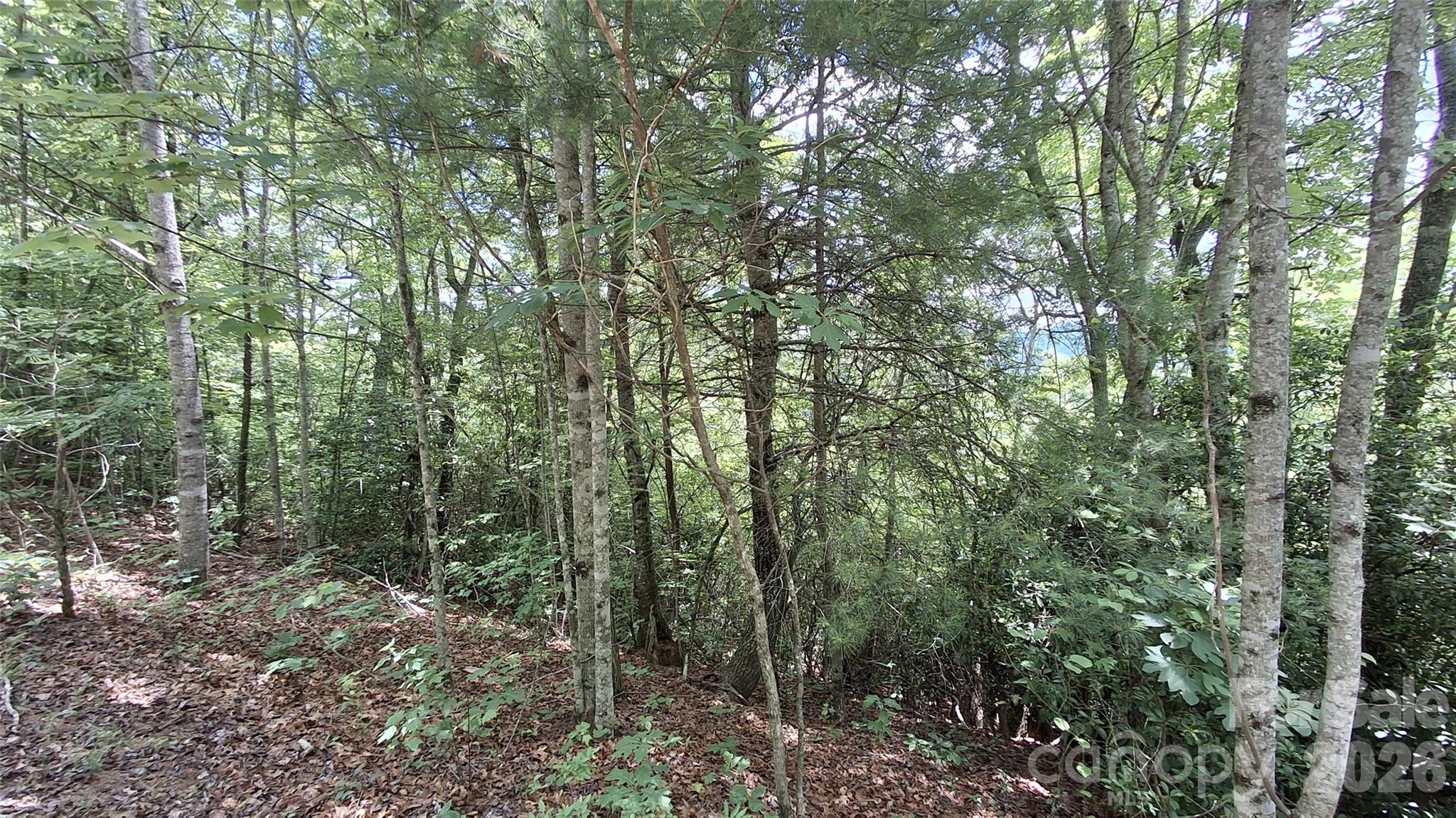 Lot 29 Signal Ridge, Unit 29 Sylva, NC 28779 - Photo 7 of 12