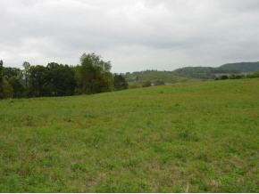0 Buffalo Pond Road Bristol, VA 24202 - Photo 3 of 5 Photo 3
