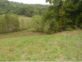 0 Buffalo Pond Road Bristol, VA 24202 - Photo 4 of 5 Photo 4