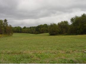 0 Buffalo Pond Road Bristol, VA 24202 - Photo 5 of 5 Photo 5