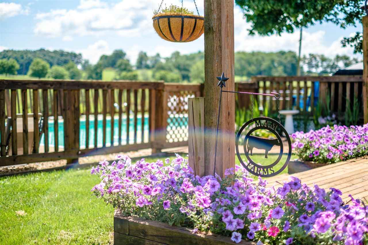 3557 Shutterlee Mill Road Staunton, VA 24401 - Photo 26 of 42 a garden view with a seating space
