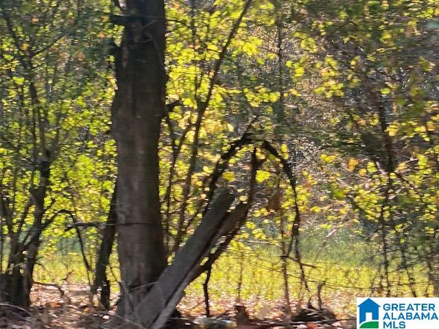 0 Montevallo Road Alabaster, AL 35007 - Photo 5 of 7